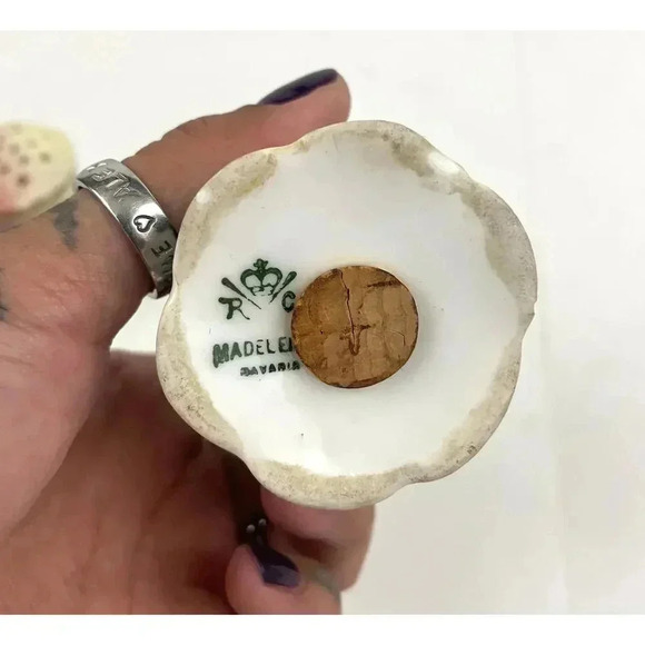 VTG Rosenthal Madeleine Bavarian Porcelain Salt and Pepper Shakers Roses Grapes - Picture 2 of 11